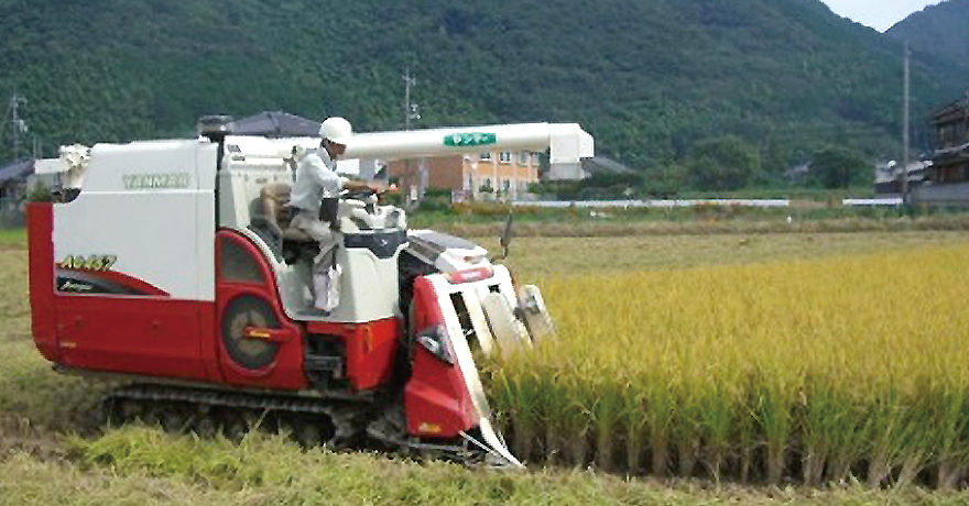 山口県における集落営農法人について