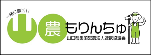 若手新規就業者支援サイト「もりんちゅ」を開設しました。